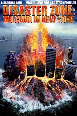 Disaster Zone Volcano in New York 2006 Hindi Dual Audio 300MB